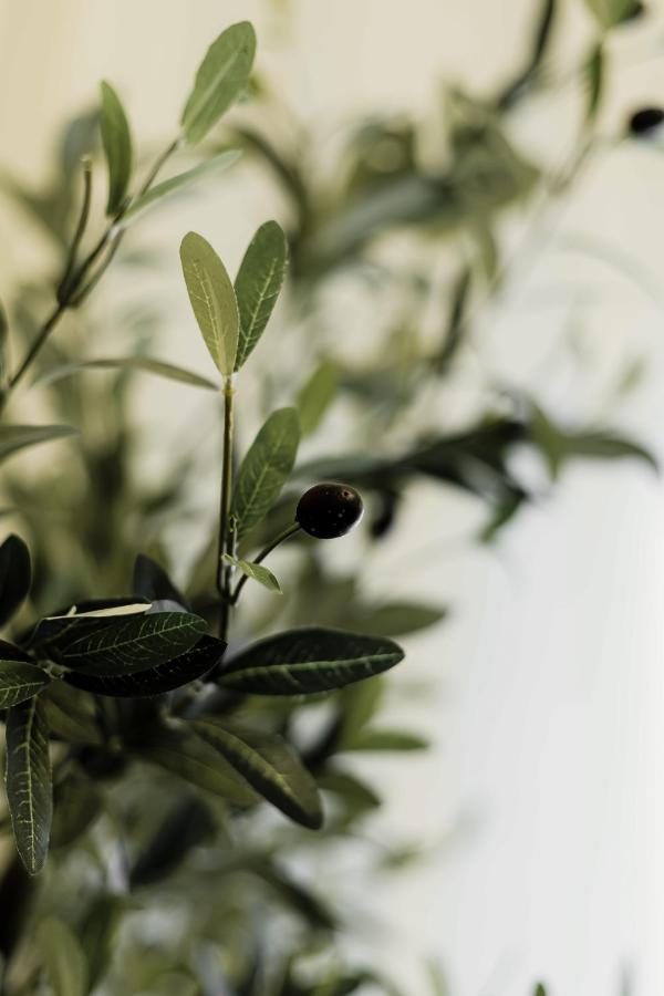 아테네 Olive Koukaki 아파트 외부 사진